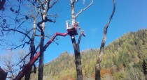 Mitarbeiter im Kran beim Baumschnitt in Tennengau